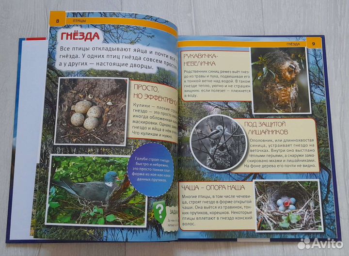 Энциклопедии детские