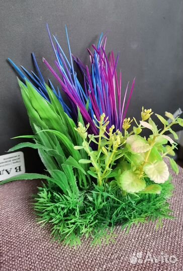 Аквариумные растение