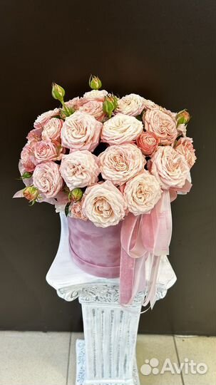 Цветы. Букет шикарных пионовидных кустовых роз