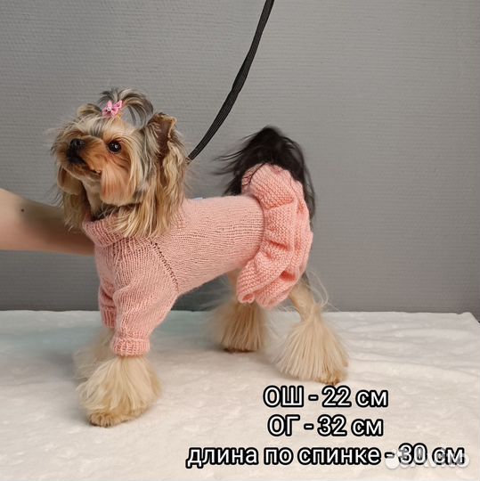 Вязаная одежда для собак