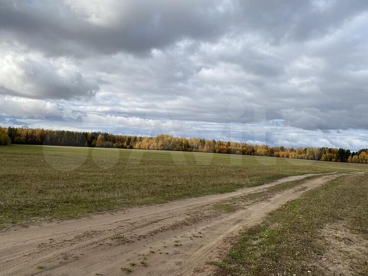 Участок 9,07 га (СНТ, ДНП)