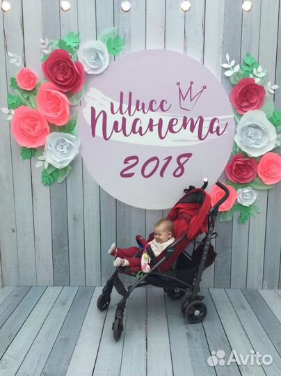 Коляска Chicco Lite Way3 Red Berry