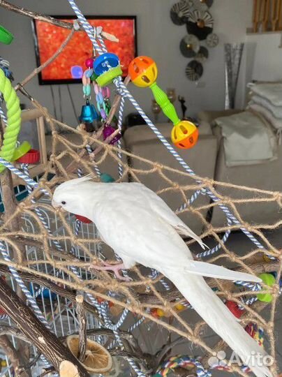 Игрушка для попугаев. Сетка для скалолазания