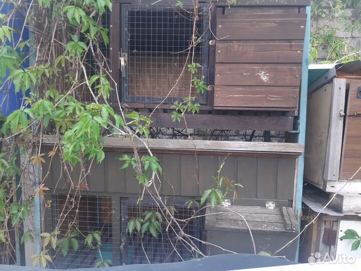 Клетки для кролика