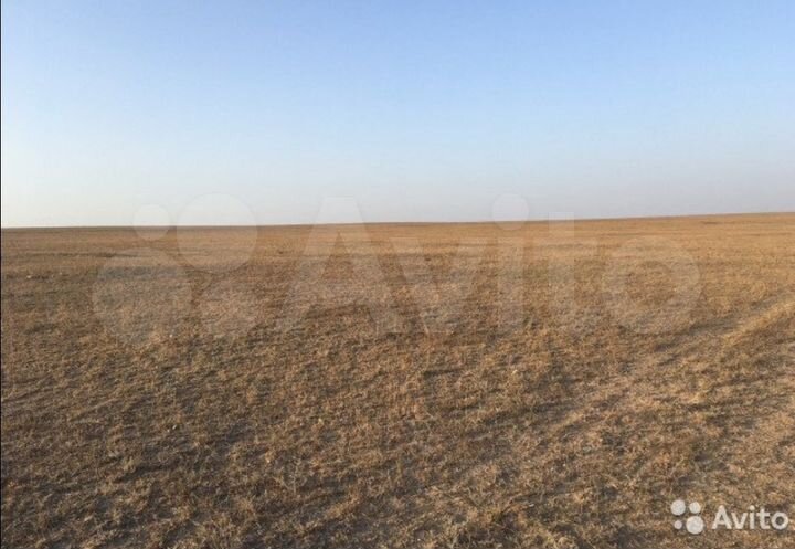 Участок 6 га (СНТ, ДНП)
