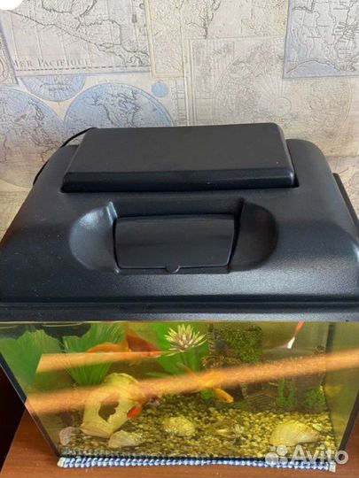 Аквариум, фильтр,Украшение для аквариума