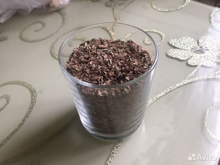 Семена укропа