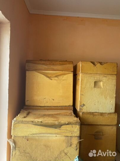 Термоконтейнер