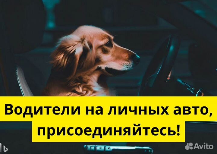 Ищем водителей Яндекс.Go на своем т/с
