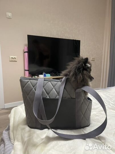 Сумка для маленьких собак