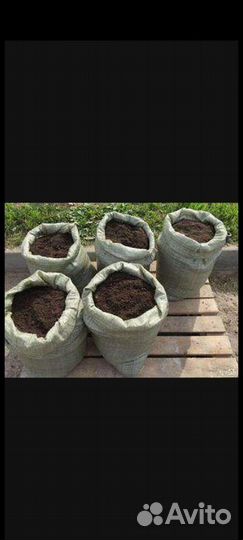 Аргонический навоз