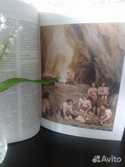 Энциклопедия для детей Аванта