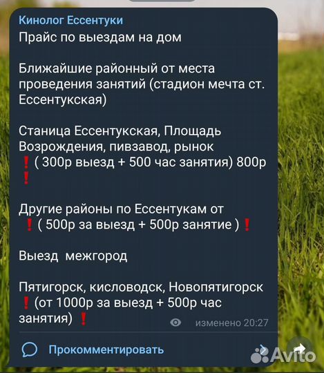 Дрессировка собак разных пород