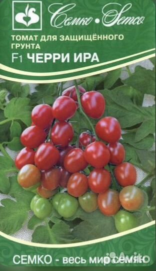 Рассада помидор черри Ира F1 высокорослые