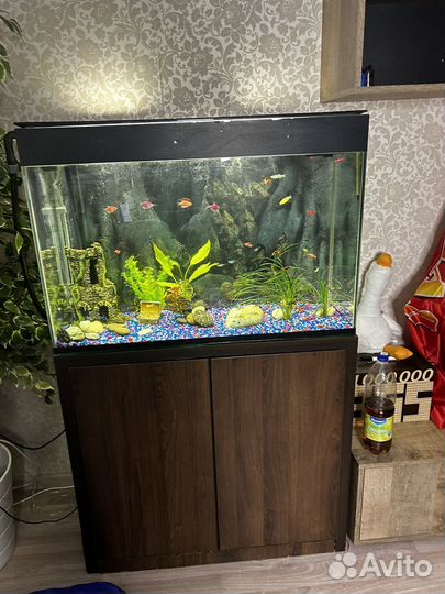 Аквариум с тумбой 150 л