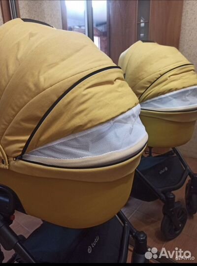 Коляска Tutis viva life 2 в 1