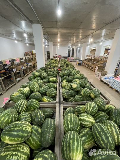 Арбузы Иран