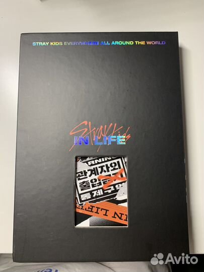 Альбом stray kids back door