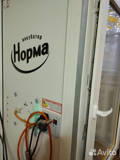 Инкубатор норма рейс