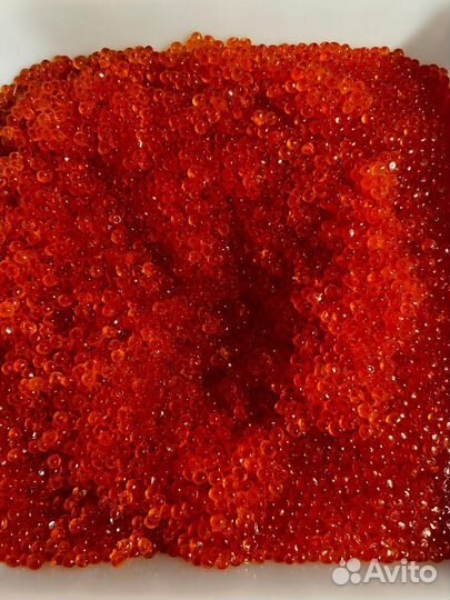 Буйабес оптом