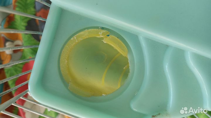 Клетка для хомяка бу