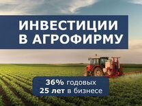 Инвестиции в аграрный бизнес: 36% годовых