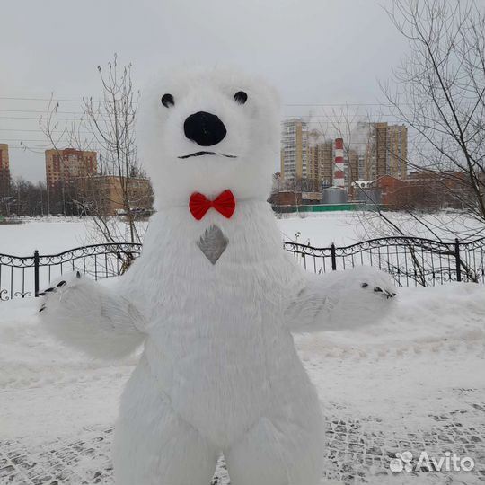 Белый Мишка или Чебурашка на поздравление