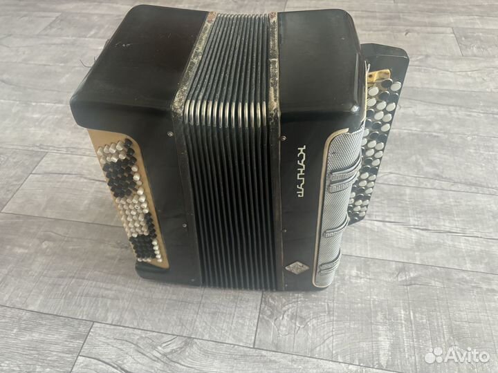 Баян кунгур