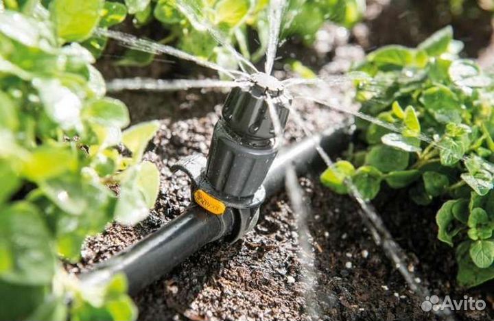 Капельный полив