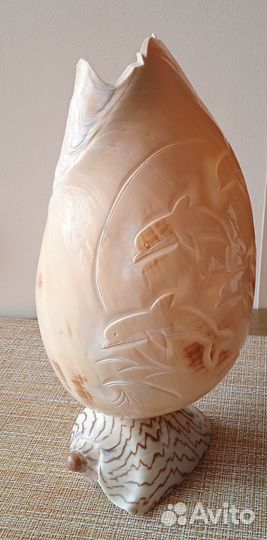 Большая морская раковина с гравировкой «дельфины»