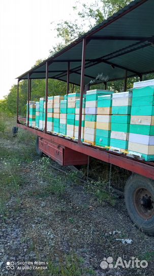Пчелоприцеп