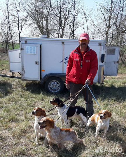 Натаска и дрессировка легавых