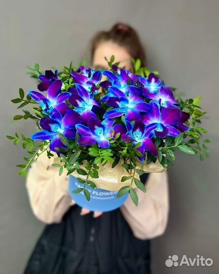 Букеты с Космическими Орхидеями