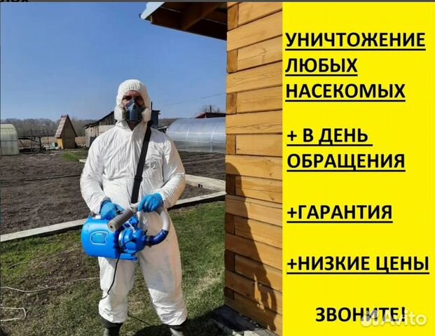 мастер травли. уничтожение тараканов. дезинфектор человек. мастер травли. дезинфекция дезинсекция дератизация.