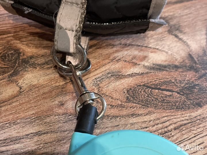 Поводок+жилет для маленьких питомцев