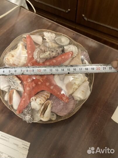 Ракушка сувенирная морская в корзинке