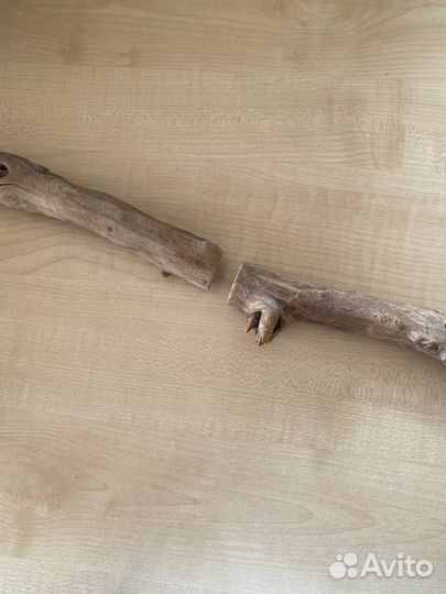 Коряги Driftwood