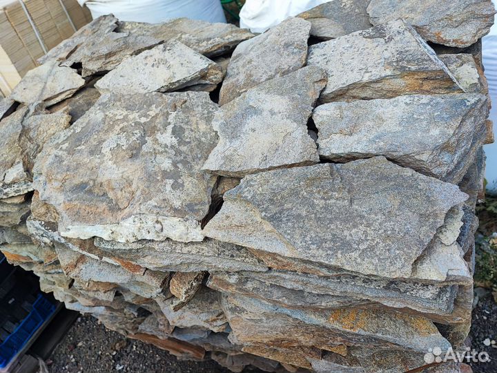 Золотая осень 500 р м2