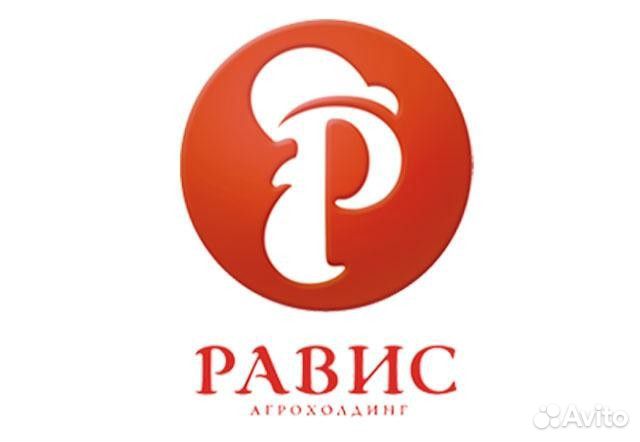 Инженер-программист (эдо)