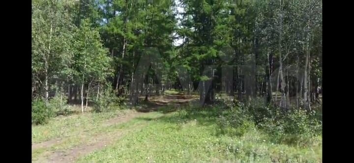 Участок 45 сот. (ИЖС)
