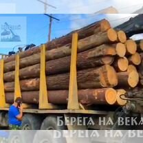 Лиственница, кедр, брус, бревно, укрепление берега, Мытищи