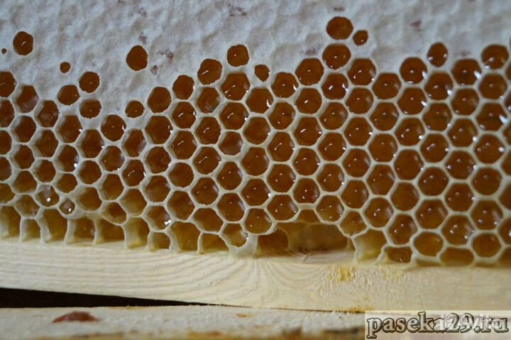 Мед, соты, забрус