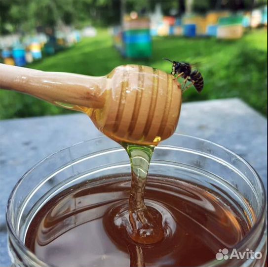 Ароматный Мёд