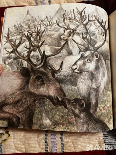 Сказочный Таймыр. С автографом