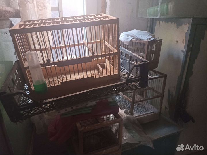 Клетки для птиц