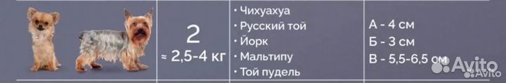 Ботинки для собак зооателье Софи