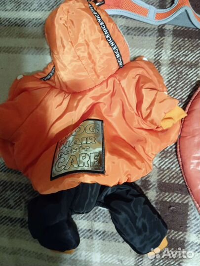 Одежда для собак xs