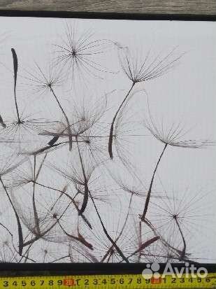 Плакат постер черно-белый рамка черная картина