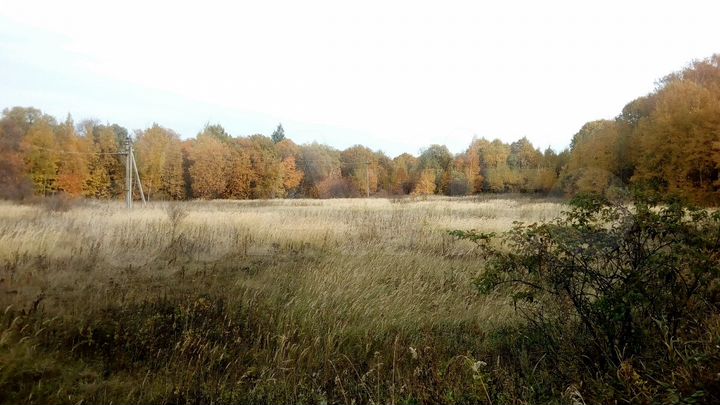 Участок 14 сот. (ИЖС)