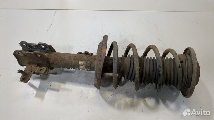 Амортизатор подвески Opel Vectra C, 2008